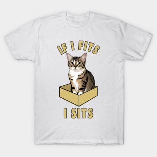 If I Fits, I Sits Funny Cat Design T-Shirt